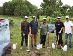 Berkontribusi Kurangi Emisi Karbon, Jasa Raharja Tanam 1.000  Pohon di Lampung