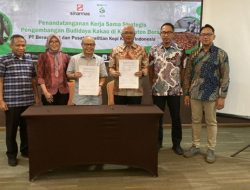 Penandatanganan MoU antara Puslitkoka PT RPN Dan PT Berau Coal Untuk Pengembangan Kakao di Daerah Tambang