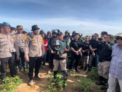 “Tumbur!”, Drama Eksekusi Lahan PTPN VII