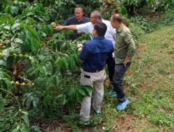 Asdep Pengembangan Agribisnis Perkebunan Lakukan Kunjungan Lapangan ke Kampoeng Kopi Banaran