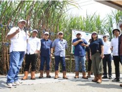 Panen Perdana Tebu Bersama Kementerian BUMN, Region Head PTPN I Regional 4: Optimis Protas Sentuh Angka 100 Ton/Ha