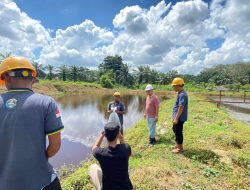 KSO Pabrik TASA PTPN IV Reg. 7: Komitmen Terhadap Lingkungan Hidup Melalui Aksi Penanaman Pohon dan Penebaran Bibit Ikan
