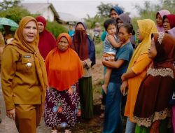 Tak Bisa Tunjukan Izin, Gudang Bungkil Kelapa Sawit di Sukabumi Ditutup Sementara