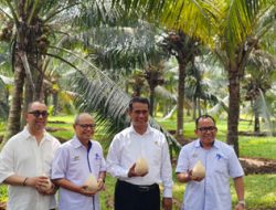 Kunjungan Menteri Pertanian ke Kebun Kopyor PT Riset Perkebunan Nusantara (RPN)