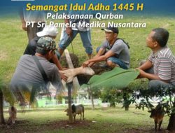 Pelaksanaan Qurban PT Sri Pamela Medika Nusantara Rayakan Idul Adhan 1445 H dengan Semangat Kebersamaan