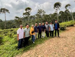 Monitoring Peningkatan Efisiensi dan Produktivitas, Direktur Holding PTPN III (Persero) Kunjungi Kebun Jolotigo dan Semugih