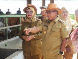 Berkomitmen Menjaga Ketahanan Pangan di Provinsi Lampung, Pj. Gubernur Samsudin Dorong Peningkatan Pembibitan Ternak Sapi