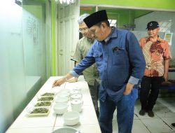 Tuhu Bangun Puji Citarasa Green Tea Pabrik Teh Gunung Dempo