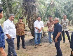 Kunjungan Dekom PTPN IV Bangkitkan Semangat Regional 7 Tingkatkan Protas