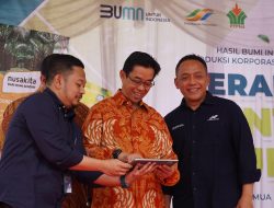 Program Gercep PalmCo Kian Berkembang Perkuat Swasembada Pangan Nasional