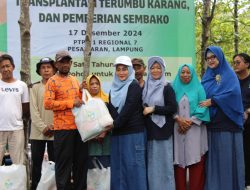 PTPN I Regional 7 Tanam 1.000 Mangrove di Teluk Pandan