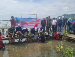 PTPN I Regional 7 Tanam 1.000 Mangrove di Teluk Pandan