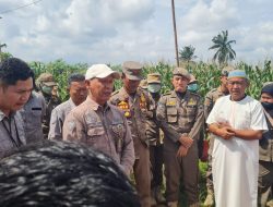 PTPN I Tegaskan Bangunan yang Dieksekusi di Lahan HGU Lampung Bukan Pondok Pesantren