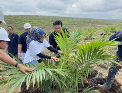 Kawal Target Produksi Harian, SEVP Operation PTPN IV Regional VII PalmCo Tinjau Kebun & PKS Sungai Lengi serta Kebun Sungai Berau