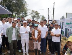 PTPN I Lakukan Penanaman Pohon di Gunung Mas