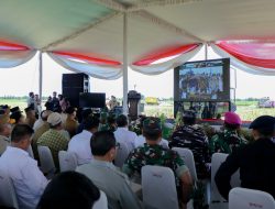 Provinsi Lampung Proyeksi Lonjakan Produksi Padi Tembus 3.5 Juta Ton Tahun 2025