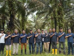 Amal Bakti Pulungan Tinjau Kebun di Lampung: Dorong Optimalisasi TBM dan Apresiasi Kinerja Regional VII
