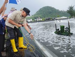 Gubernur Lampung Tanam Mangrove dan Tinjau Inovasi Appostrap di Pesawaran