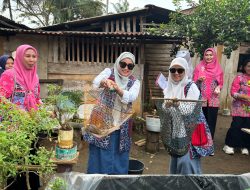 IKBI PTPN I Regional 7 Mulai Penilaian Lomba Kebersihan Lingkungan