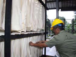Komoditi Karet PTPN I Masih Sangat Prospektif