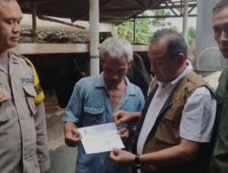 Dinas Pertanian Kota Bandar Lampung Lakukan Pengecekan Kesahatan Hewan Ternak kurban
