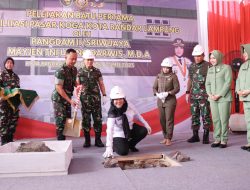 Pemkot Dibantu Kodam Sriwijaya Revitalisasi Pasar Koga