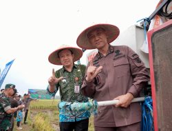Panen Raya di Trimurjo, Lampung Siap Jadi Garda Terdepan Ketahanan Pangan Nasional
