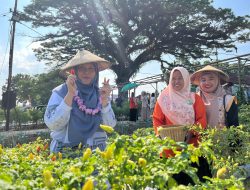 Kebun Kedaton Wakili Regional 7 Lomba Kebersihan Lingkungan Tingkat Subholding