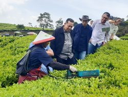 Dekom PTPN III: “Optimalkan Teknologi untuk Kejar Produksi!”