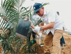 Perkuat Asta Cita, Holding Perkebunan Nusantara Melalui PTPN IV Regional III Remajakan 949,6 Ha Sawit Renta