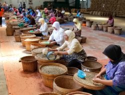 Insiden Kaligedang Rugikan Ribuan Buruh dan Rusak Citra Bondowoso Republik Kopi