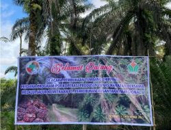 Dorong Keberlanjutan Sawit Rakyat, Holding Perkebunan Nusantara Melalui  PTPN IV Regional V Kawal  PSR di Landak