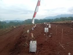 PTPN I Target Bangun 27 Ribu Hektare Kebun di Jawa Barat