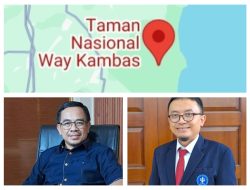 Perdagangan Karbon Jadi Opsi Pendanaan Lingkungan di Lampung