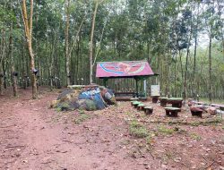 PTPN  I Regional 7 Tegaskan Legalitas Aset Kebun Way Lima sebagai Aset Negara Berdasarkan Undang-Undang