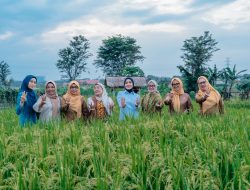 Panen Anggur dan Melon di PKK Agro Park, Ketua TP.PKK Provinsi Lampung Dorong Pemanfaatan Pekarangan Produktif