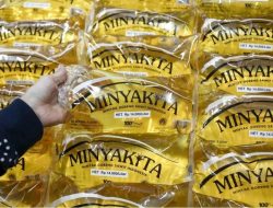 Holding Perkebunan Nusantara melalui PalmCo, Genjot Produksi CPO dan Minyak Goreng Jelang Ramadhan