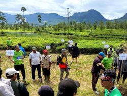 PTPN I Tanam 1.000 Pohon di Ajang Walini Cross Country