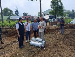 PTPN I (Persero) Siapkan Lahan Bawang Putih di Kebun Teh Gedeh