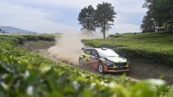 APRC Sumut 2026 Sukses Digelar di Perkebunan PTPN IV PalmCo, UMKM Lokal Rasakan Dampak Positif
