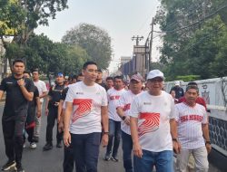 “One PTP One Culture”, Ratusan Karyawan PTPN I & IV Regional 7 Jalan Sehat Sambut HUT ke-81 RI