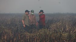 Gubernur Mirza Pastikan Penanganan Kebakaran di Braja Harjosari Terkendali, Tim Gabungan Cegah Api Masuk TN Way Kambas