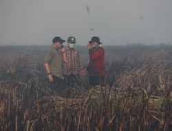 Gubernur Mirza Pastikan Penanganan Kebakaran di Braja Harjosari Terkendali, Tim Gabungan Cegah Api Masuk TN Way Kambas
