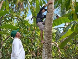 PTPN I Dampingi Gapoktan Produksi Gula Semut Lampung