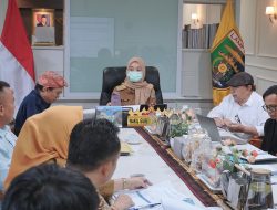 Pemprov Lampung Dorong Pengembangan Potensi Desa Berorientasi Ekspor, Dorong Daya Saing Produk Desa dan Perluasan Pasar Internasional