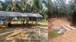 234 Hektare Bekri Dikuasai Okupan, Serikat Pekerja: Selamatkan Kebun Kami, Selamatkan Masa Depan Anak Kami