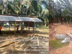 234 Hektare Bekri Dikuasai Okupan, Serikat Pekerja: Selamatkan Kebun Kami, Selamatkan Masa Depan Anak Kami