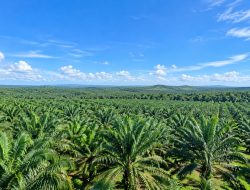 PTPN IV Regional VII Hormati Aspirasi Masyarakat, Ajak Jaga  Kebun Bekri untuk Kepentingan Bersama